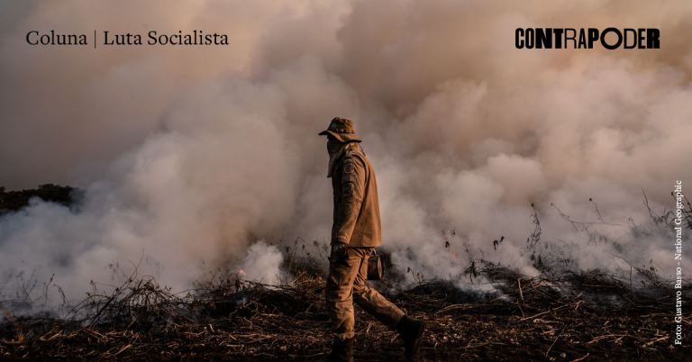 Amazônia e Pantanal queimam: “o ar é insuportável”