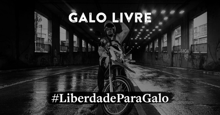 Galo livre