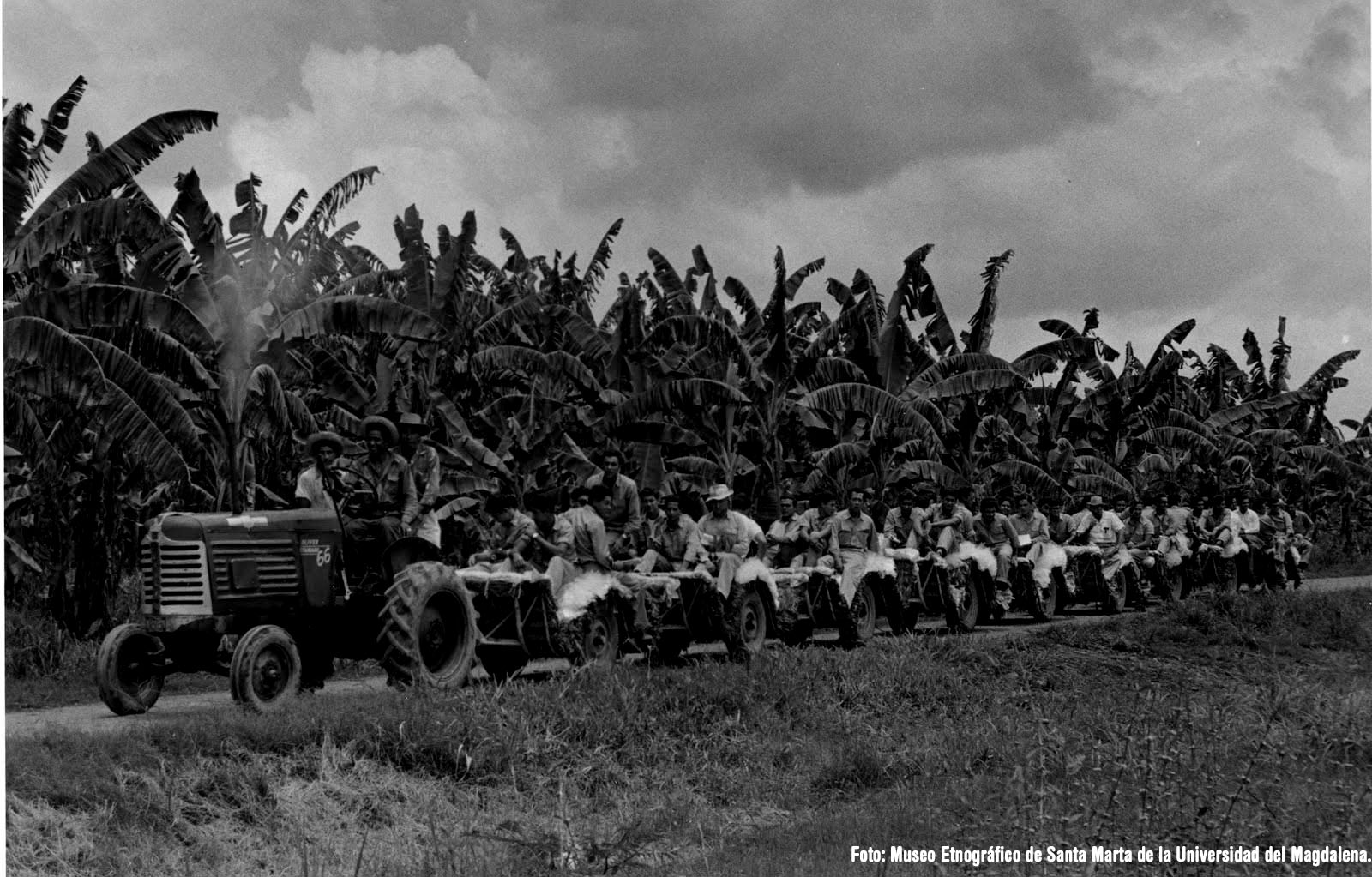Masacre de las bananeras, a realidade da luta histórica na América Latina